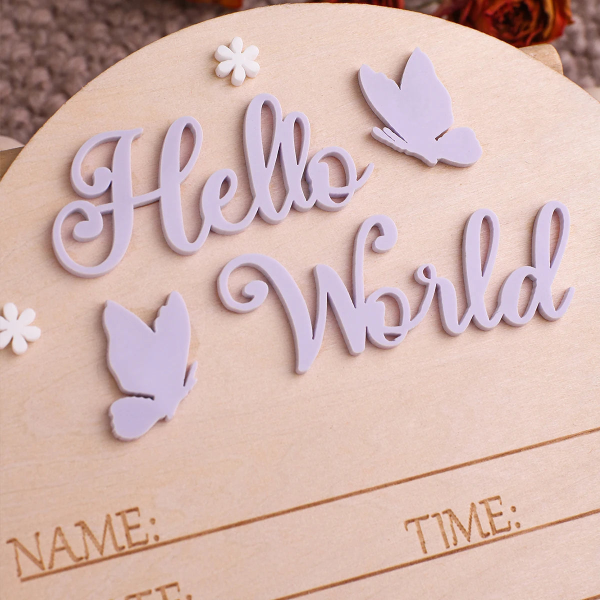 Baby Announcement Sign Butterfly Arrival Announcement Sign for Hospital Baby Props