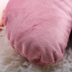 5 Pieces Set Soft Touch Newborn Posing Pillow For Photography Studio Photo Props Accessories